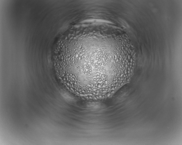 X0000070230377200606091723