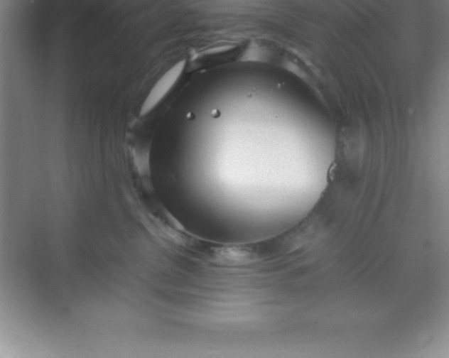 X0000070230380200606091723