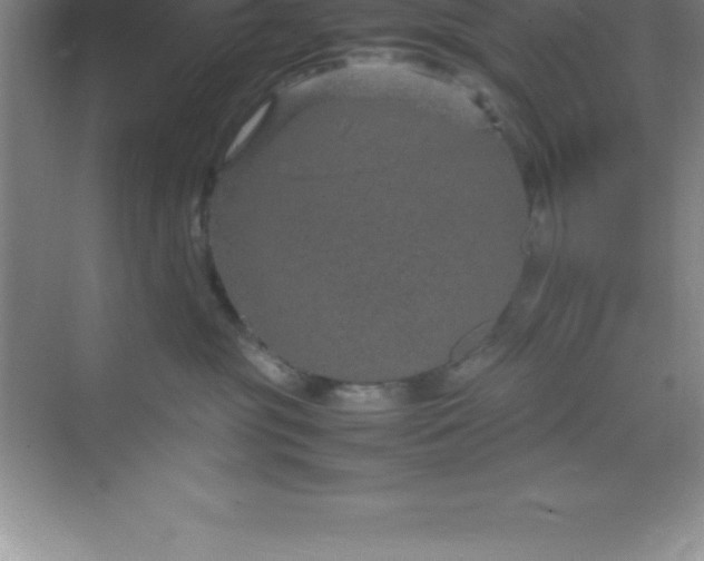 X0000070230381200606091723