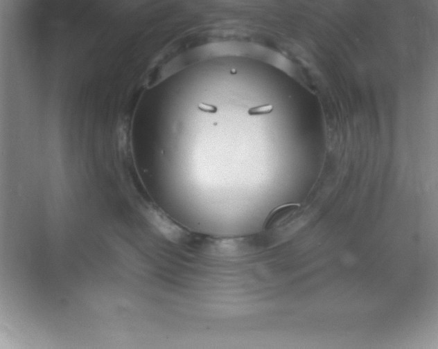 X0000070230382200606091723