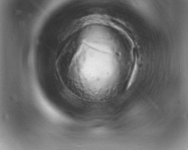 X0000070230383200606091723