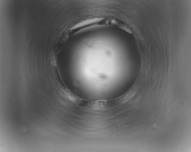 X0000070230384200606091723