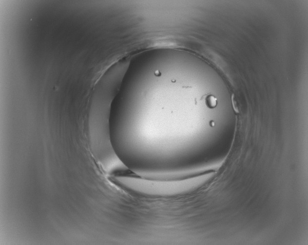 X0000070230385200606091723