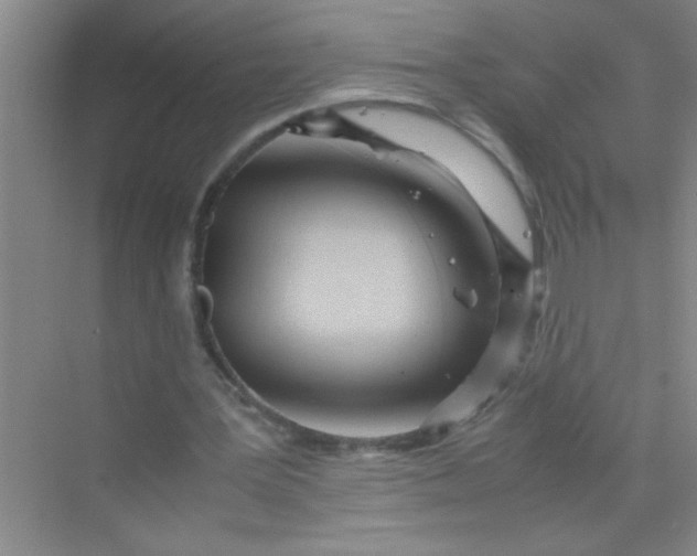 X0000070230387200606091722