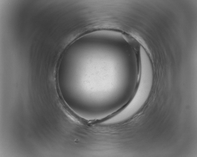 X0000070230389200606091722