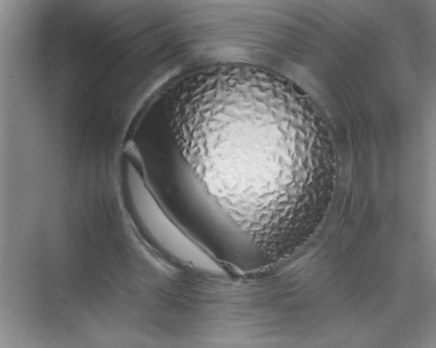 X0000070230390200606091722