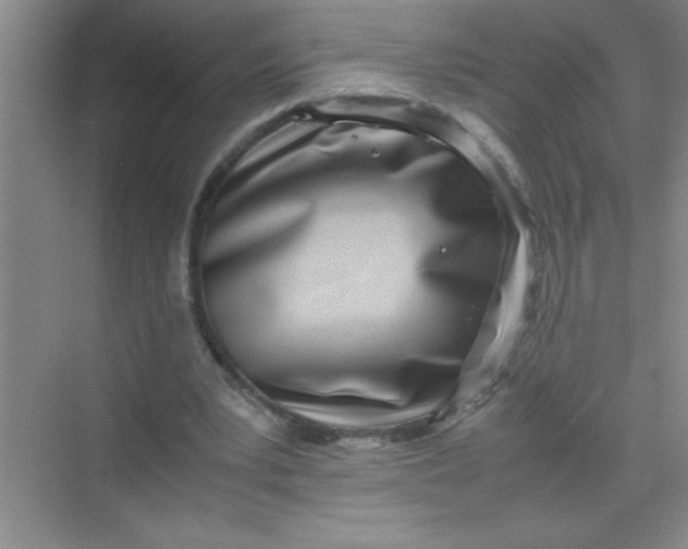 X0000070230391200606091722