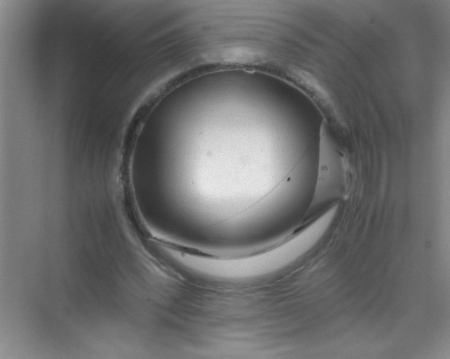 X0000070230392200606091722