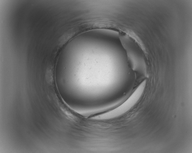 X0000070230393200606091722