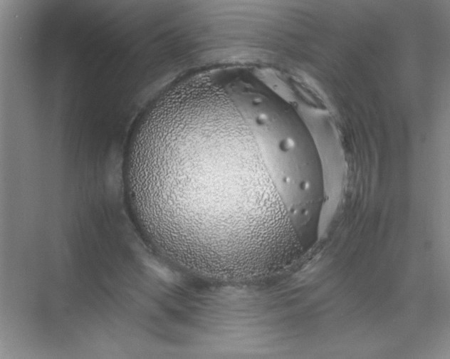 X0000070230394200606091722