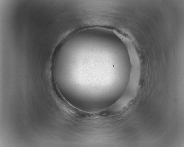 X0000070230395200606091722