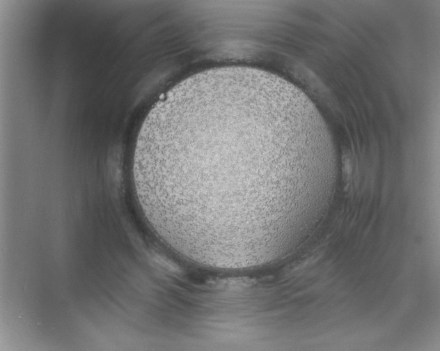 X0000070230396200606091722