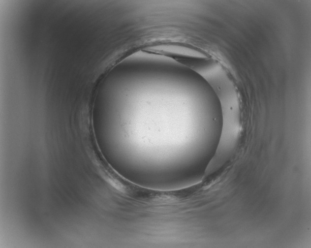 X0000070230397200606091722