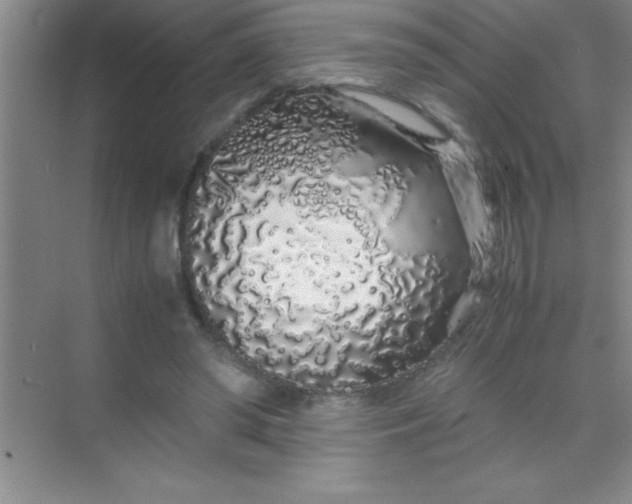 X0000070230398200606091722