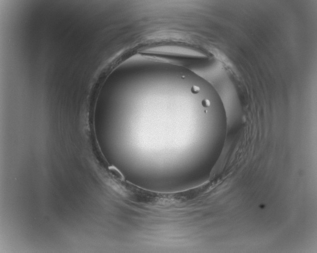 X0000070230399200606091722