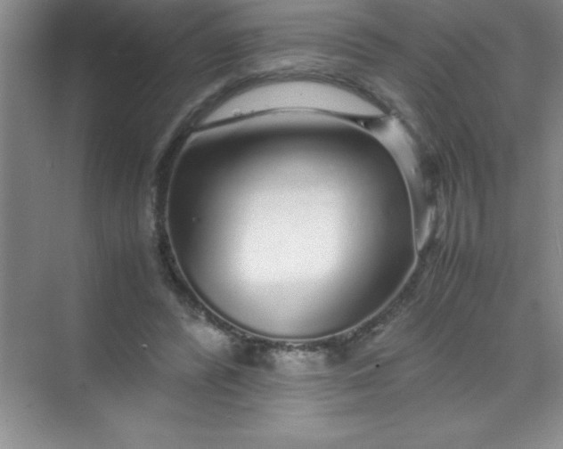 X0000070230400200606091722