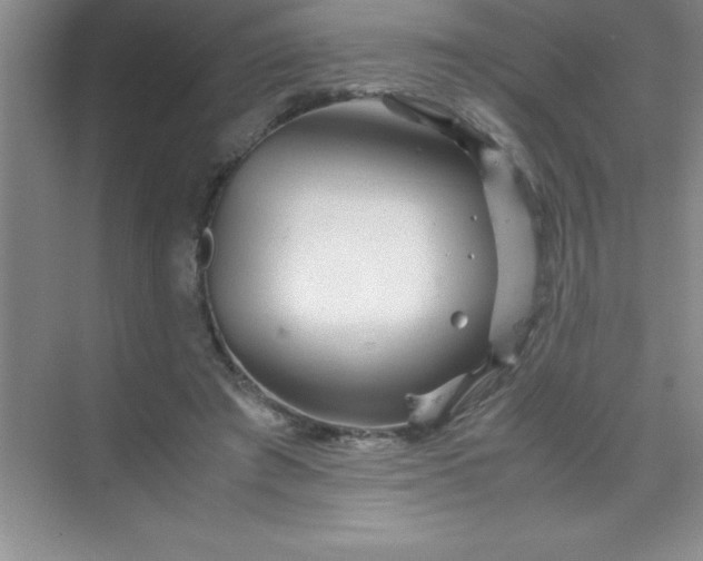 X0000070230401200606091722