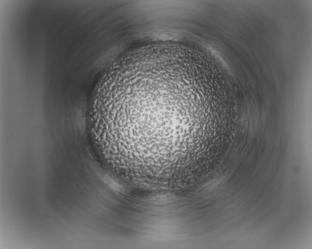 X0000070230402200606091722