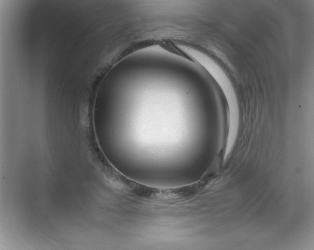 X0000070230403200606091722