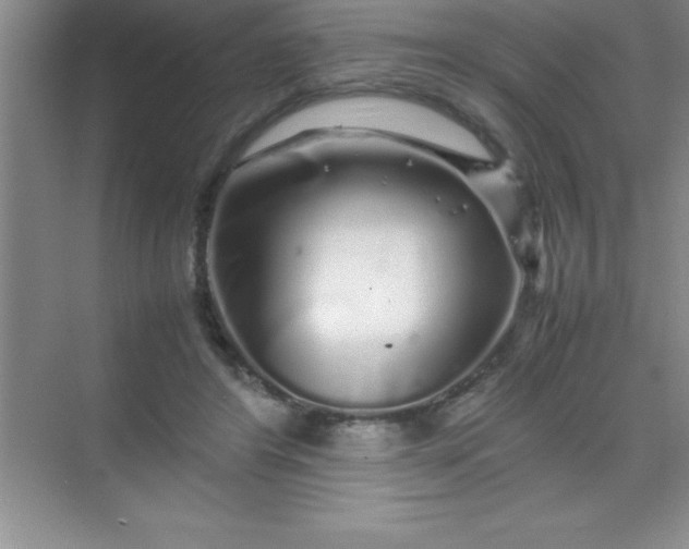 X0000070230404200606091722