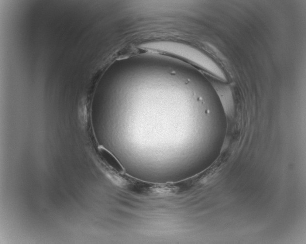 X0000070230405200606091722