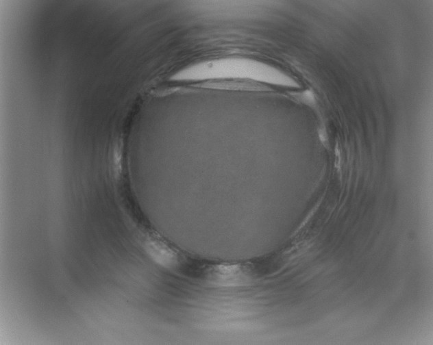 X0000070230406200606091722