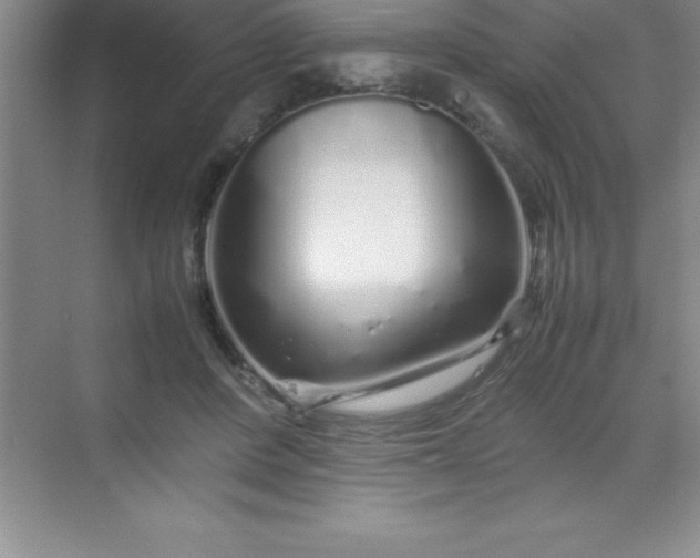 X0000070230408200606091722