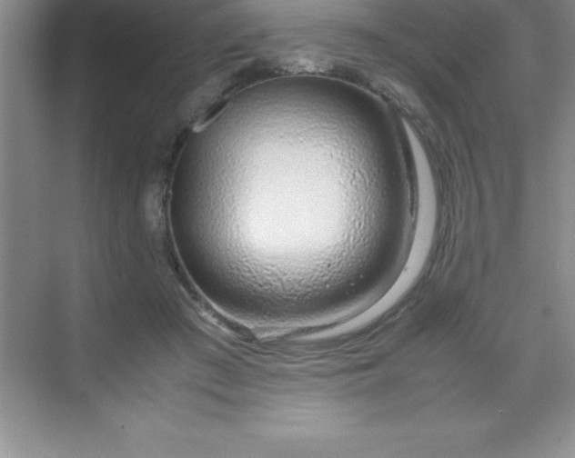 X0000070230409200606091722