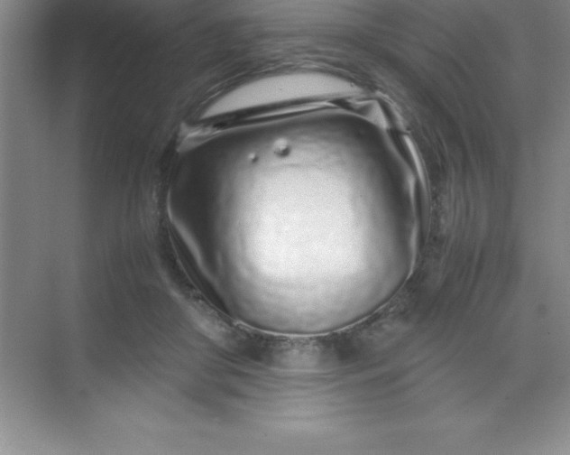 X0000070230410200606091722