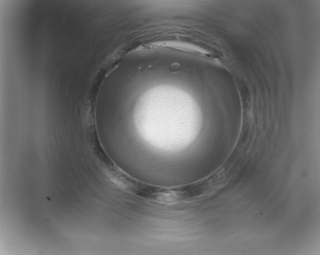 X0000070230411200606091722