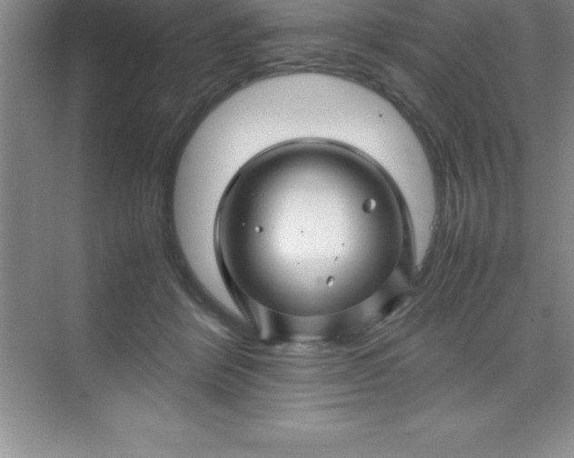 X0000070230412200606091722