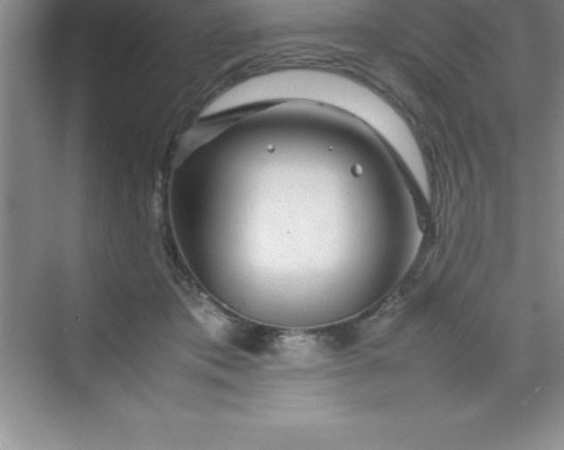 X0000070230413200606091722