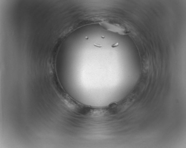 X0000070230414200606091722