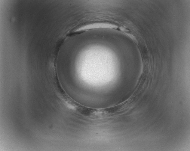 X0000070230415200606091722