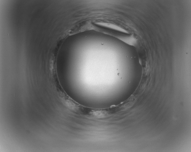 X0000070230417200606091722