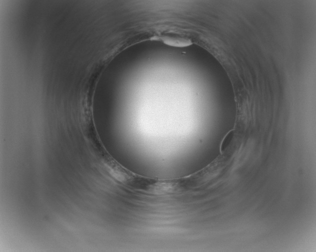 X0000070230418200606091722