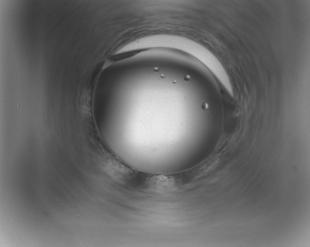 X0000070230421200606091722