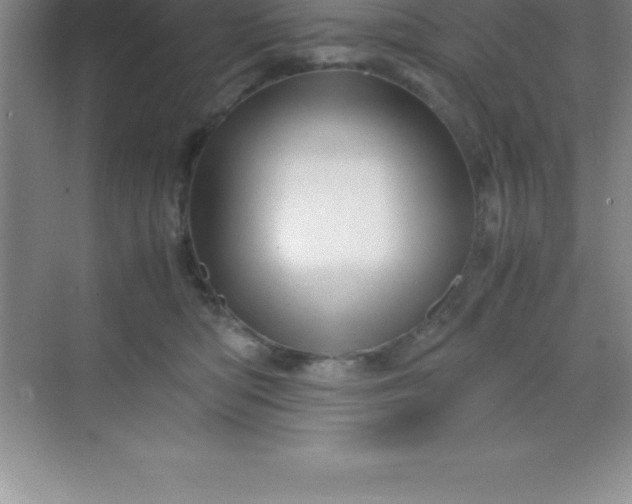 X0000070230422200606091722