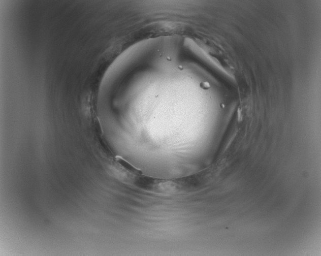 X0000070230423200606091722