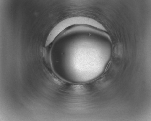 X0000070230424200606091722