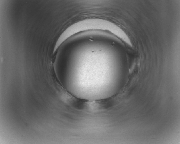 X0000070230425200606091722