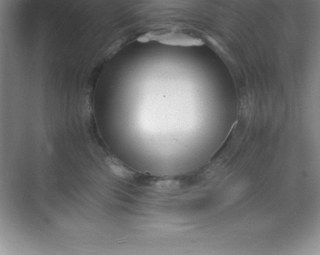 X0000070230426200606091722