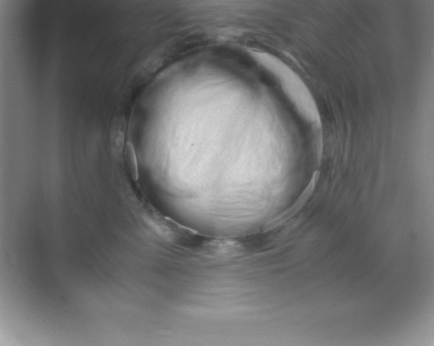 X0000070230427200606091722