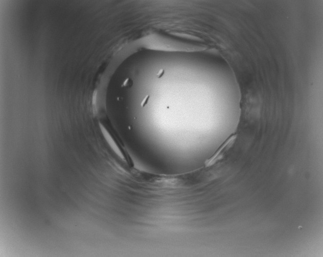 X0000070230428200606091722