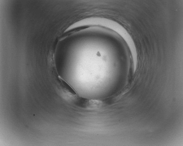 X0000070230429200606091722