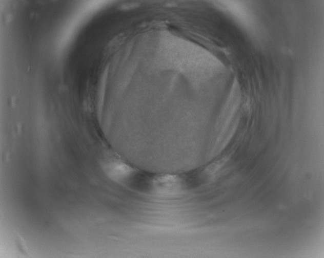 X0000070230431200606091722