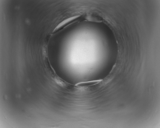 X0000070230432200606091722