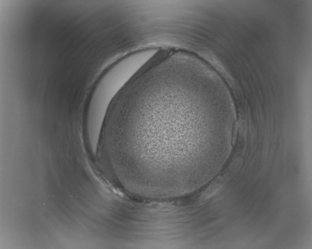 X0000070230434200606091721