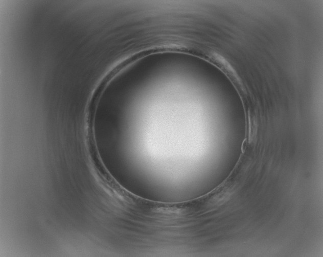 X0000070230435200606091721