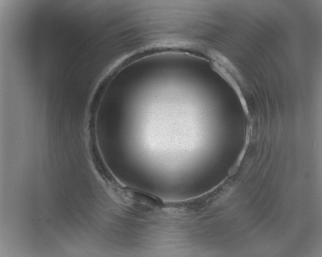 X0000070230436200606091721